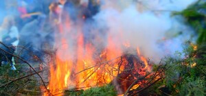 Дышать нечем: в Днепре возле детской больницы подожгли листья (видео)