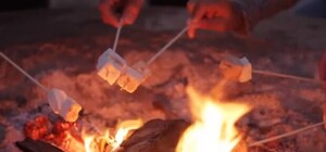 Осторожно жарь зефир: спасатели предупреждают о ветре и пожароопасности