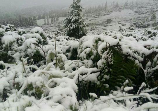 Новость - События - Доставай сноуборд: горнолыжный курорт Драгобрат засыпало снегом
