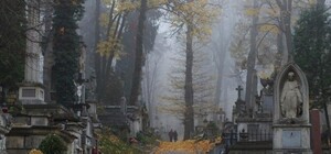 Водіям до уваги: кому і коли можна заїжджати на львівські цвинтарі