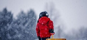 Где в Киеве покататься на санках: выбирай горку в своем районе