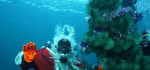 С наступающим: дайверы опустили на дно карьера новогоднюю ель