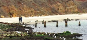 В Одессе море покинуло берега: обнажились волнорезы и наклонился брошенный буксир