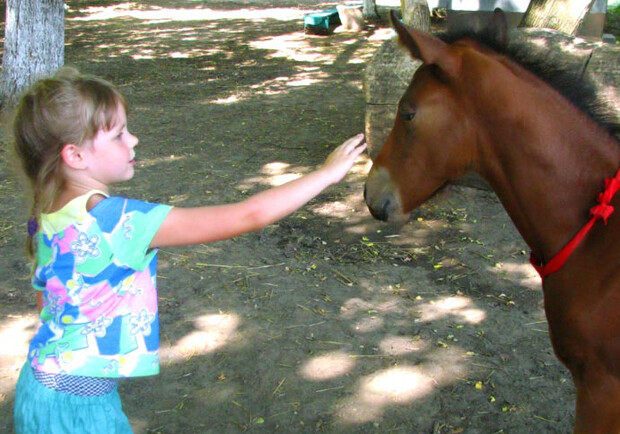 Лошадиные и человечьи малыши с удовольствием общаются. Фото с сайта cheval.dp.ua