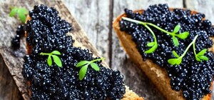 Ну, ок: Супрун посоветовала украинцам не есть черную икру