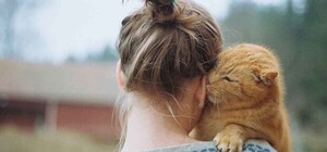 Зверятам от ребят: как помочь кошкам и собакам из киевских приютов