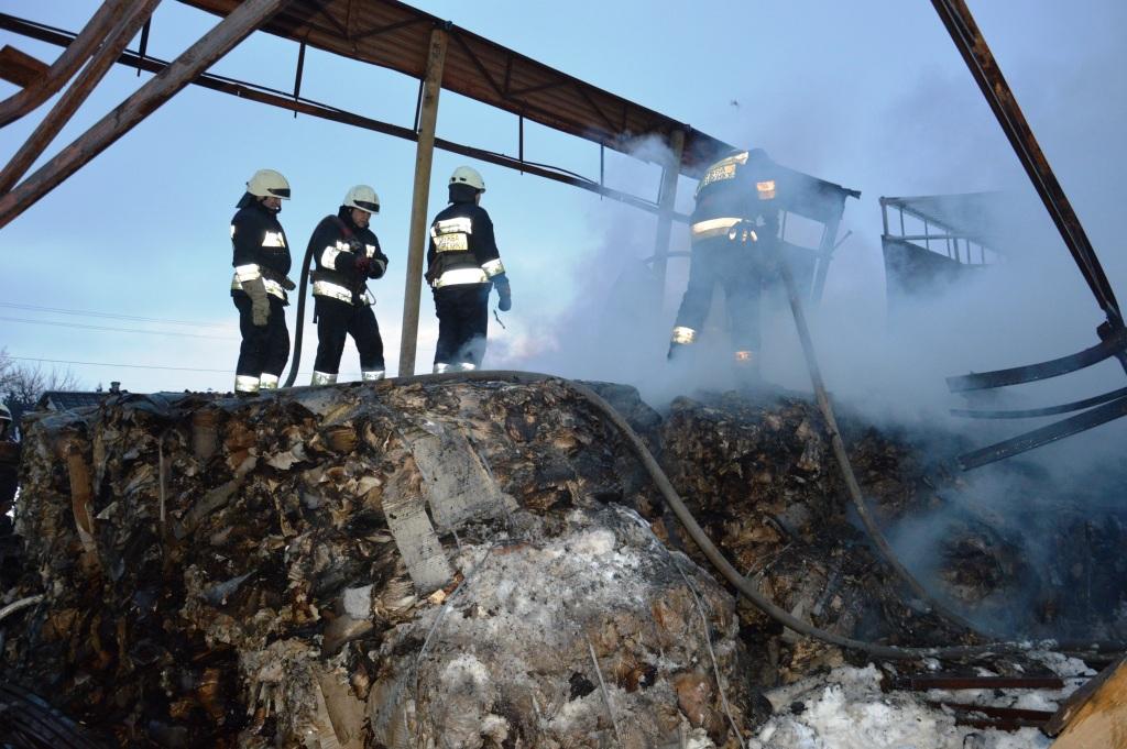 Новость - События - Масштабный пожар на левом берегу: огонь тушили 19 спасателей (видео)
