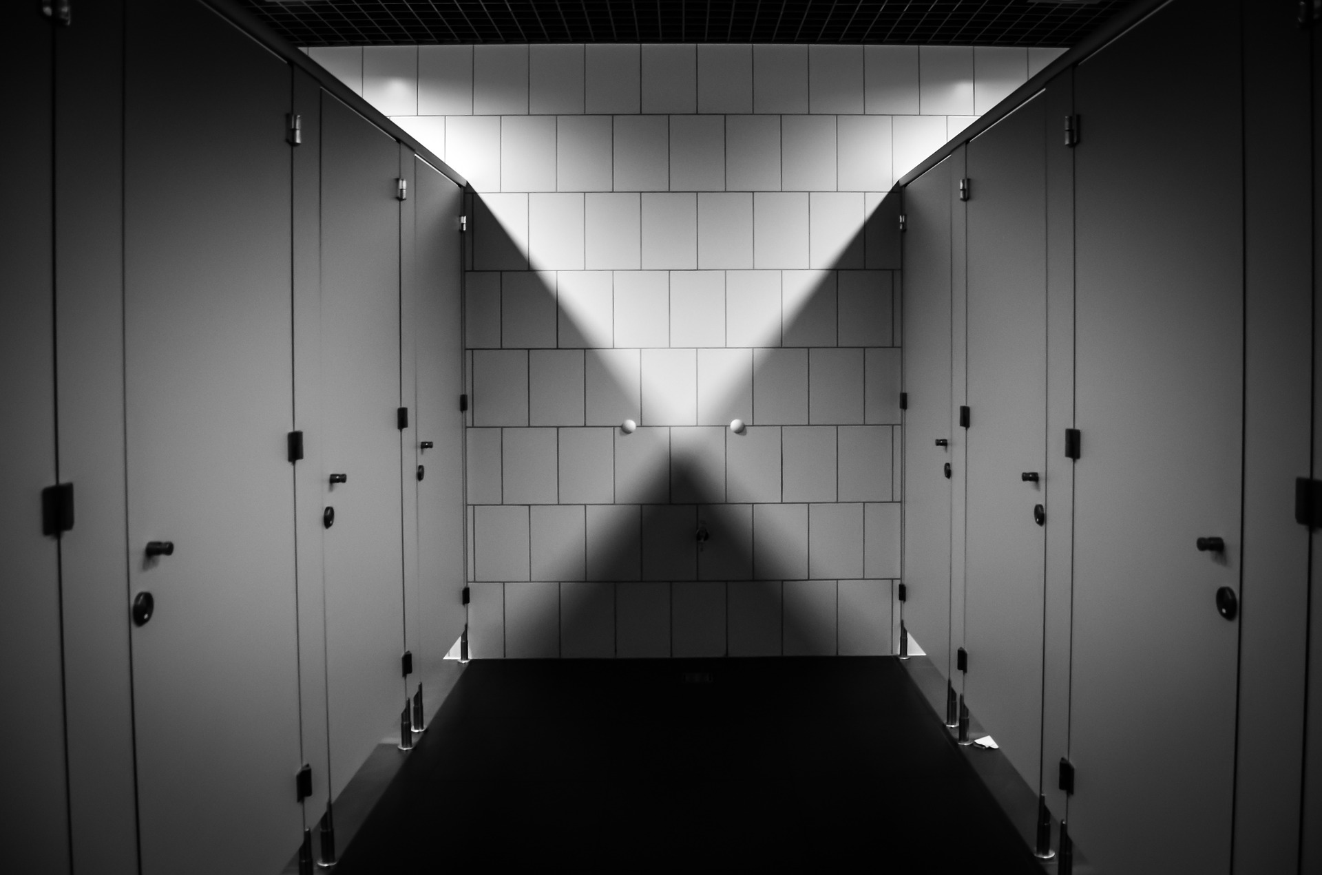 Количество женских туалетов может возрасти в два раза / pixabay