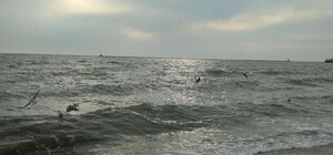 Темные облака и безлюдные пляжи: живописные фотографии Азовского моря в марте