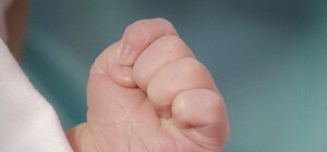 В мусорном баке обнаружили труп младенца: полиция открыла уголовное производство