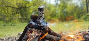 Получи ответ: можно ли жарить шашлык на лужайках в парках Киева