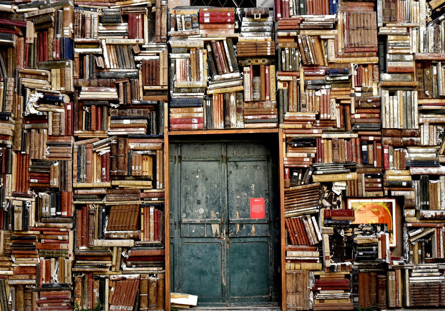 В Украину запретили ввозить еще 23 книги из РФ. Фото: pixabay.com