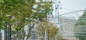 В Верховной Раде потребовали объяснений от 