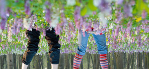 В городе весна: какая погода сегодня в Запорожье