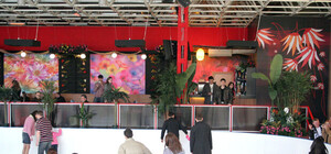 Мост-айс - катание на коньках