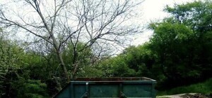 Скидывайте мусор от пикников в большие контейнеры: где их найти