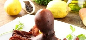 Бургер с сельдью и куриные чипсы: 10 блюд, которые ты еще не пробовал в Днепре