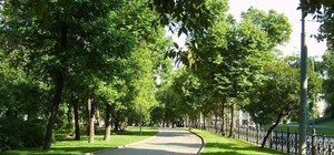 Нагуляешься: стало известно, когда в Киеве откроют парк 