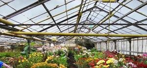 Получи ответ: как попасть в ботсад ДНУ и когда он работает