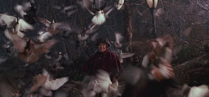 Любовь и голуби: женщина превратила квартиру в голубятник (видео)