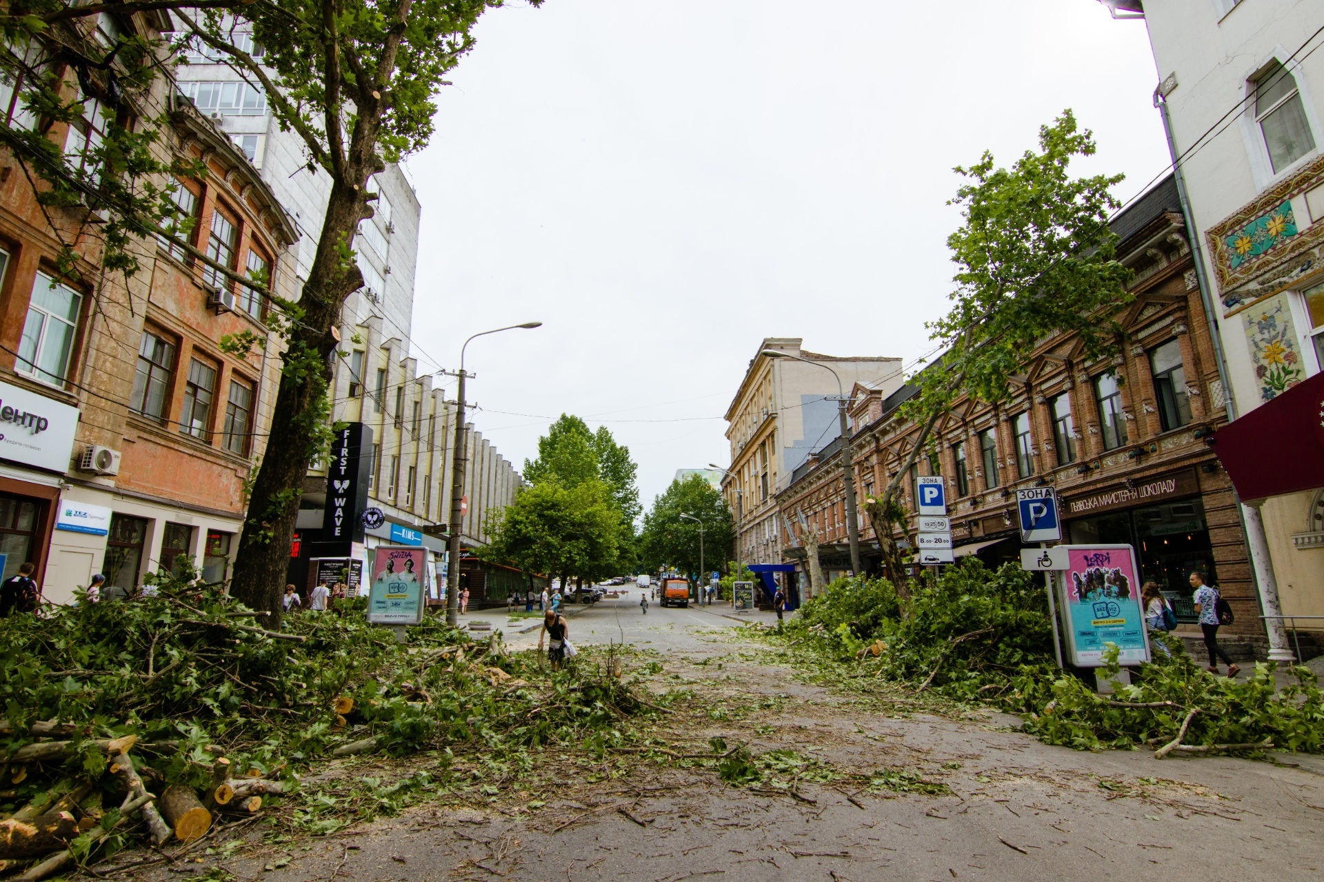 В Днепре спилили деревья. Фото: пресс-служба мэрии Днепра