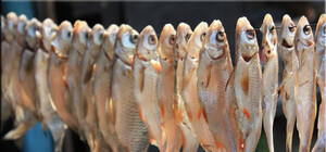 Не покупай таранку в переходе: Супрун рассказала, как распознать ботулизм