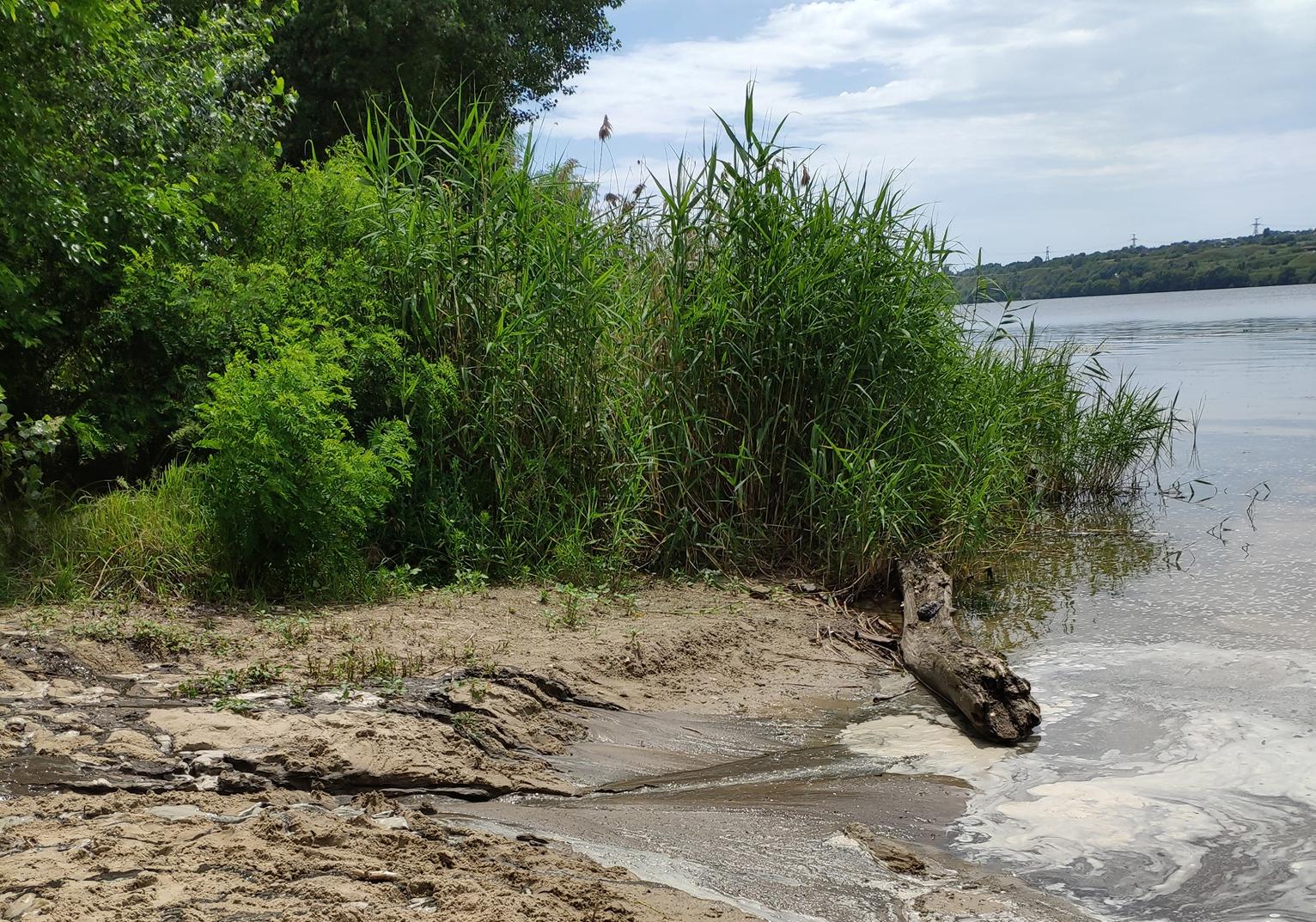Новость - События - На Приднепровском пляже прорвало канализацию: люди все равно купаются
