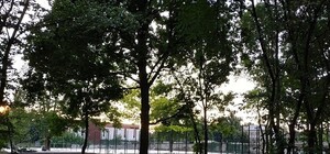 Амфитеатр, спортивные площадки и дорожки: как в Харькове проходит реконструкция Молодежного парка