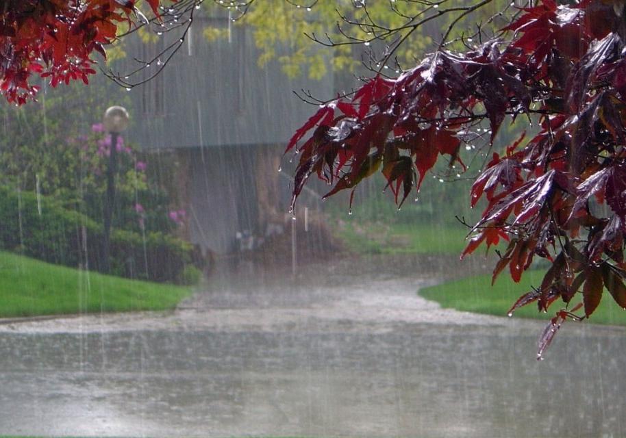 Новость - События - Потепление и дожди: синоптики рассказали, какой будет погода на Петра и Павла