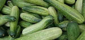Узнай почему: в Харькове взлетели цены на огурцы