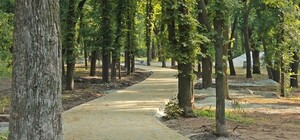 Пока занятия не начались: парк Гагарина меняется на глазах