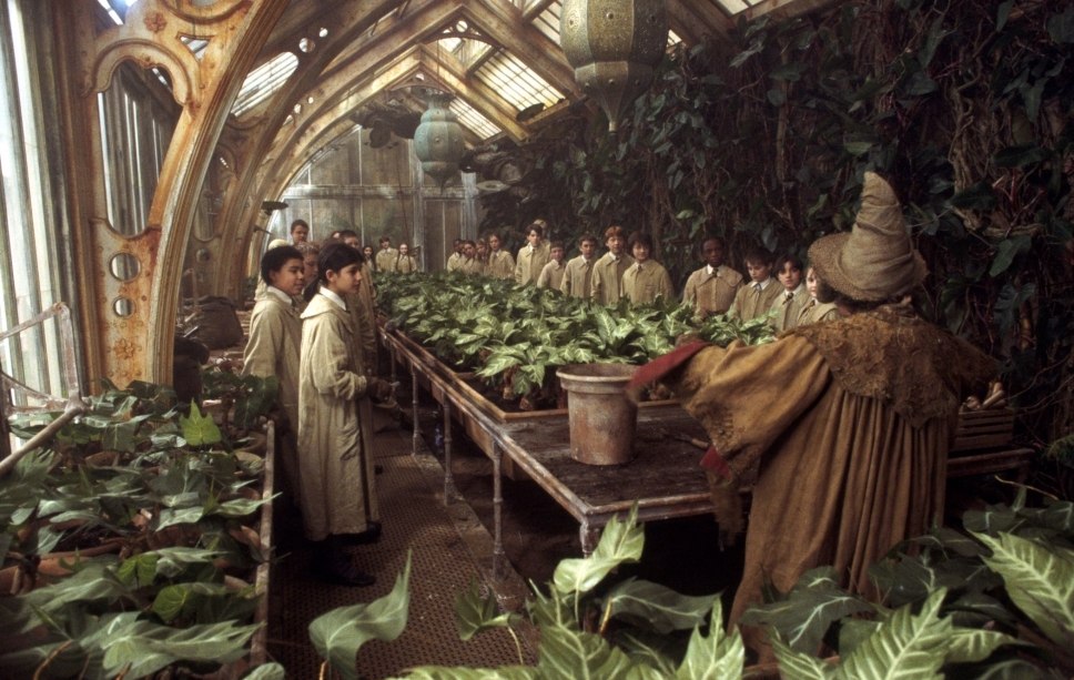 Кадр из фильма "Гарри Поттер и Тайная комната".
