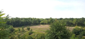 Тайны Белой балки: где искать источник вечной молодости и смотреть плиты ледникового периода