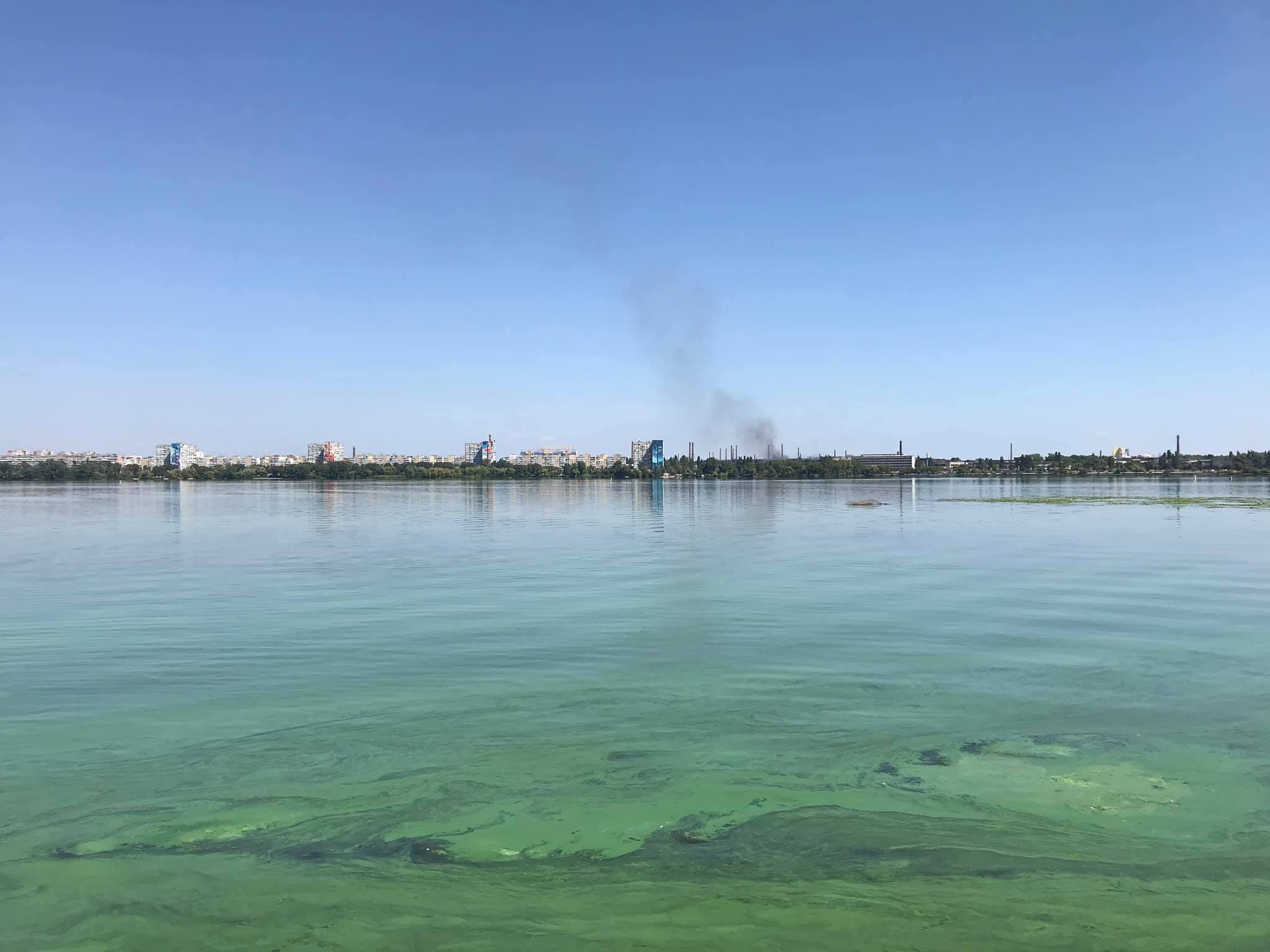 Днепр зацвел. фото: fb Павел Ткаченко