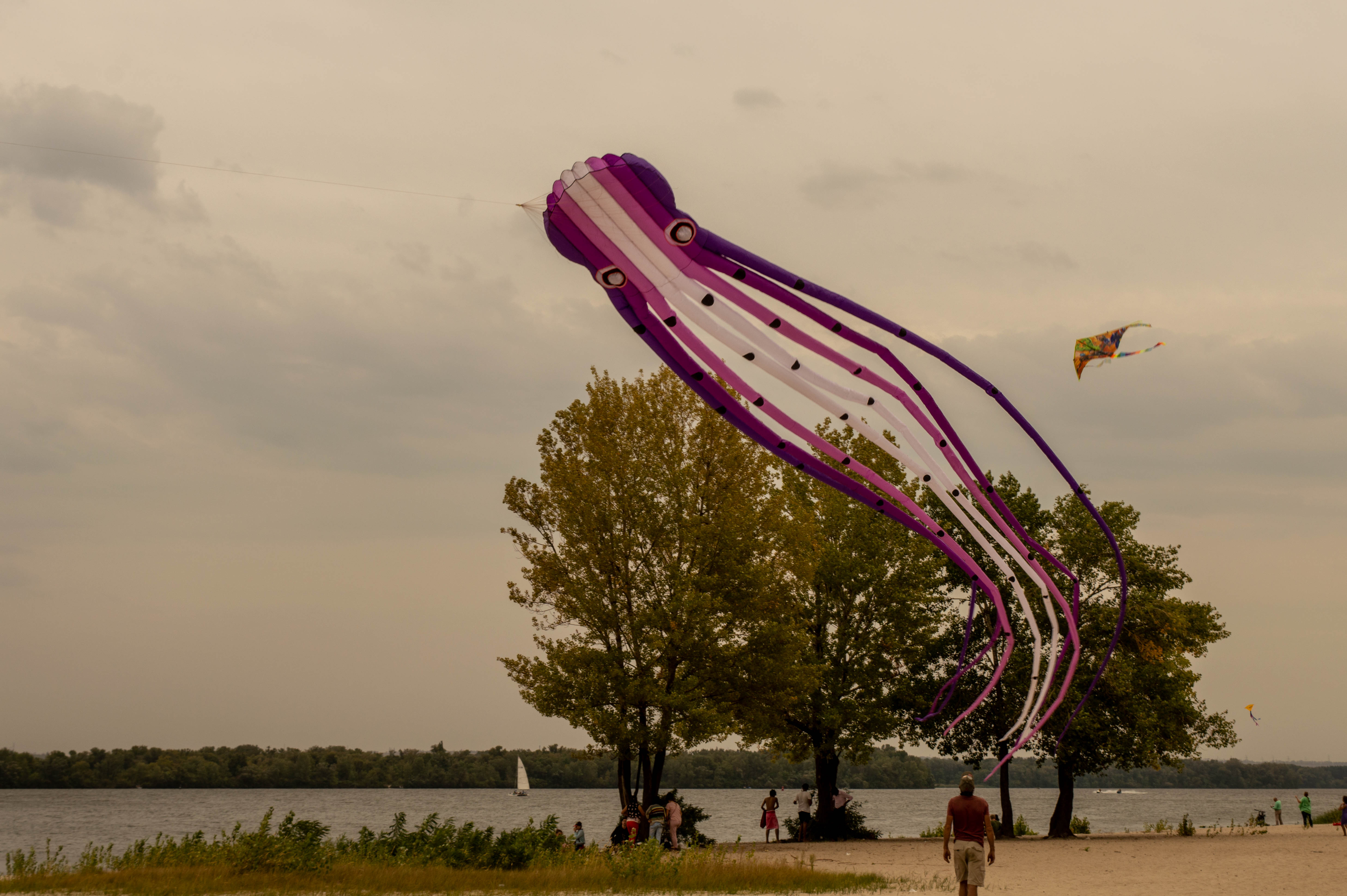 Фестиваль воздушных змеев в Днепре. Фото: Вера Журавлева.