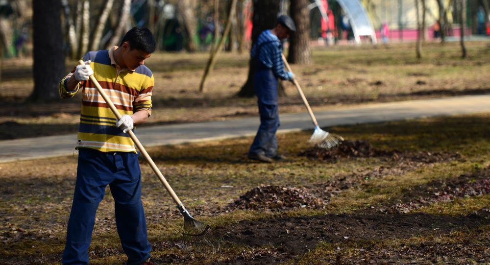 Неплательщиков алиментов будут трудоустраивать на уборку парков