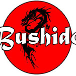 «Bushido» - это боевые спортивные единоборства
фотос сайта www.dnepr.info