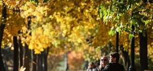 Уже отличился: в Киеве зафиксировали первый температурный рекорд