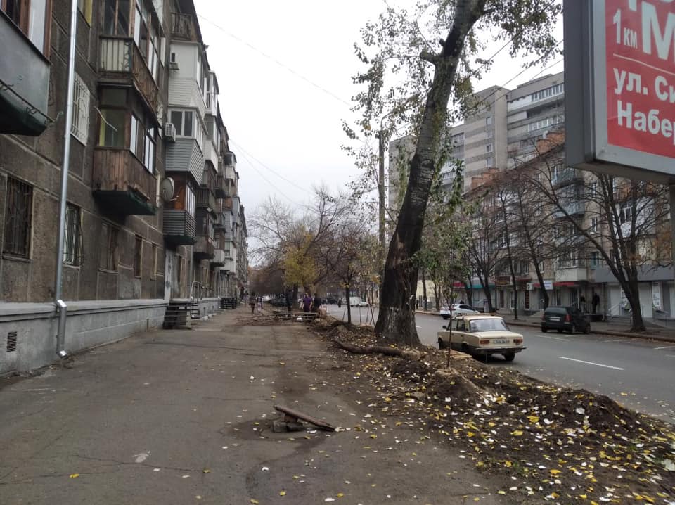 В Днепре высаживают молодые деревья на улице Владимира Великого / фото: Urban Dnipro