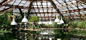 Выглядит как инопланетное яйцо: в Ботсаду ДНУ созрел необычный плод