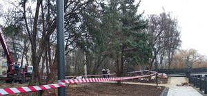 В парке им. Гагарина массово пилили деревья: что происходит