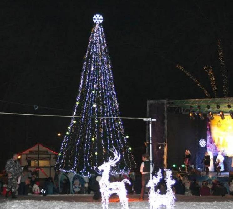 Новогодняя елка в парке Шевченко/ фото: depo.ua