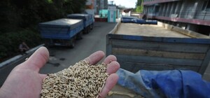 В Крыму трассу  засыпало зерном