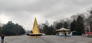 А вот это грустно: в парке Глобы не будет городской новогодней елки