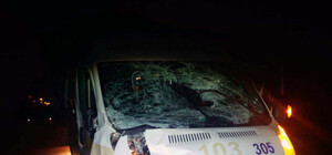 Выбежала на дорогу: на Хортице 