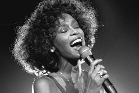 Афиша - Концерты - Вечер памяти Whitney Houston