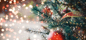 Рождественский город