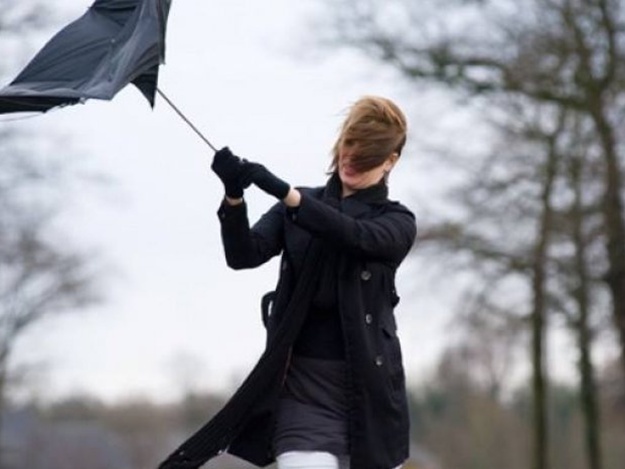 В Днепре обещают сильный ветер / Shutterstock