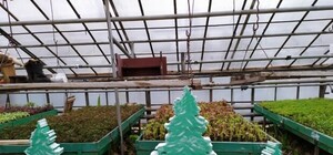 Снеговики, олени и сани: в Днепровском районе Киева появятся новые арт-объекты