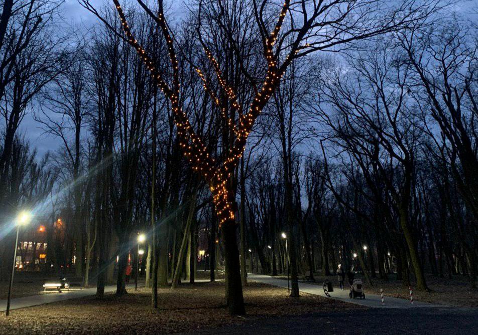 Дерево жжеланий в парке Гагарина / фото: fb Gagarin Park